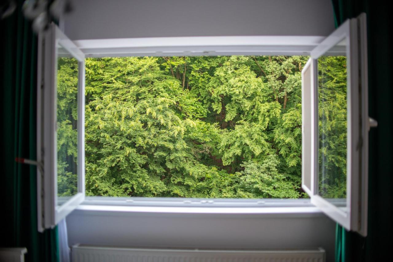 Forest Therapy Suite - Sub Padure Grand Comfort Braşov Eksteriør bilde